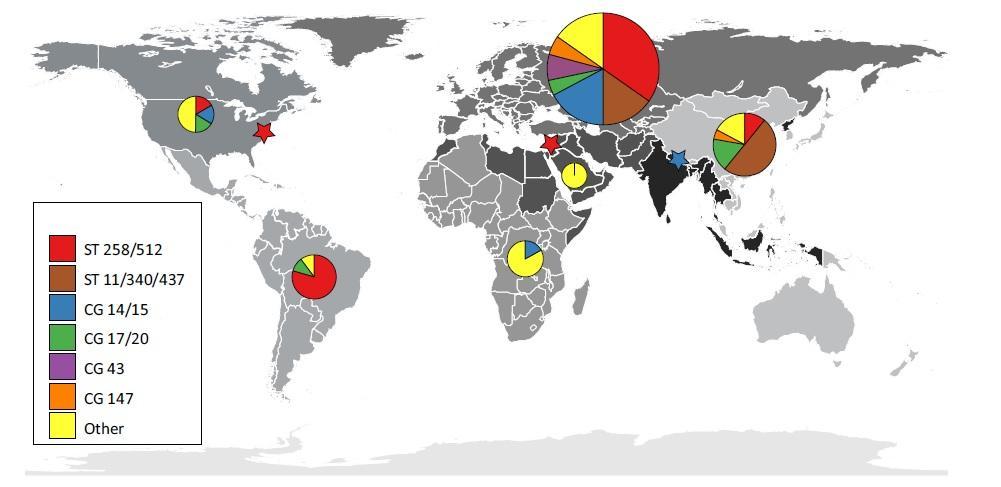 Slika 9. Globalna distribucija najuĉestalijih klonskih tipova K. pneumoniae povezanih sa širenjem rezistencije na karbapeneme.