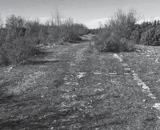 Šego Darijo, Dodig Tino Slika 2: Ostaci rimske ceste u Dalmaciji (tada provincija Dalmatia) kod Knina Izvor: http://tris.com.