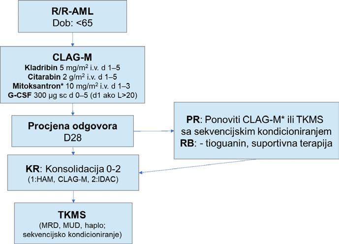 Protokol CLAG za liječenje odraslih bolesnika s refraktornom i relapsnom M. Mikulić i R. Serventi-Seiwerth akutnom mijeloičnom leukemijom Kladribin u liječenju AML-a Kladribin je sintetiziran 1972.