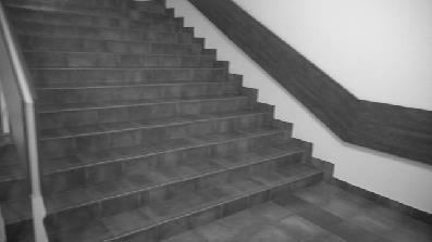 nedostaci ovakvog pristupa mogućnost pojavljivanja drugih horizontalnih linija na stepenicama uslijed uzoraka na materijalu kojim su stepenice izrađene.