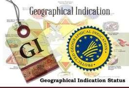 Geografske oznake i kvalitet povezan sa geografskim porijeklom GO je poseban dobrovoljni standard: Kodeks prakse (to jest, specifikacija) je specifičan za proizvod iz određene proizvodne oblasti.