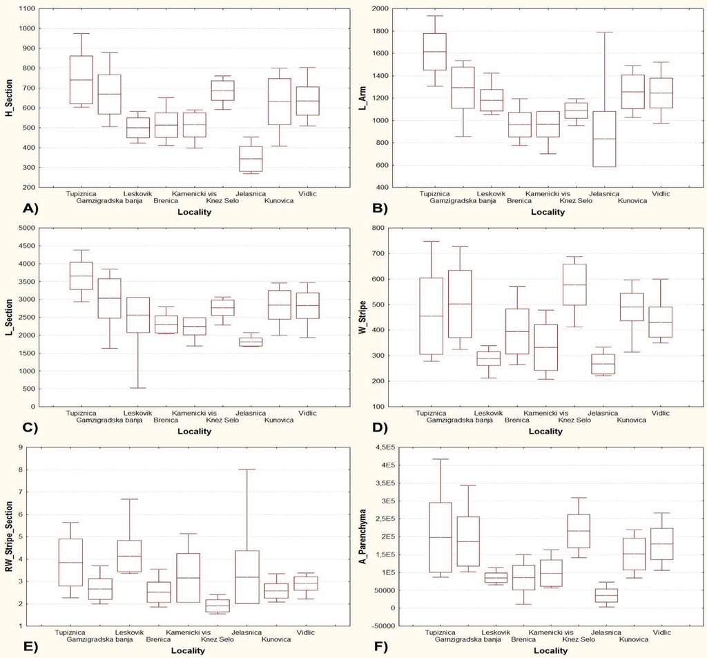 dužina preseka (L_Section) 1812±110µm, dužina ručice (L_Arm) 833±247µm i površina centralnog parenhima (A_Parenhyma) 35968±18068 µm² (Grafikon 1A, 1B, 1C, 1F).