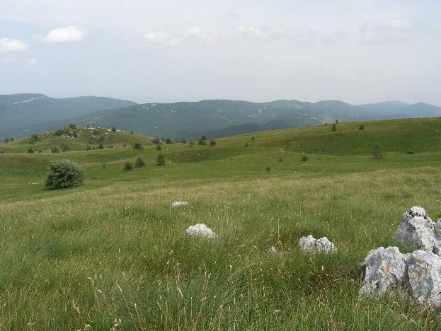 karakteristike rezultat međusobnog djelovanja prirodnih i/ili ljudskih čimbenika. Područje Općine Lanišće u potpunosti pripada području Bijele Istre.