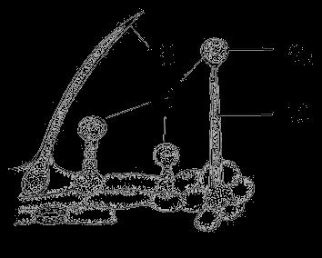 Histologija Tkiva za lučenje Tkiva za lučenje su trajna tkiva koja u biljnim telima imaju ulogu da luče različite proizvode metabolizma.