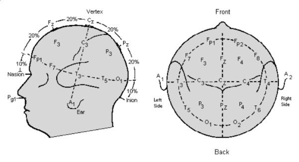 Elektrode ugrađene u kapu za snimanje EEG-a spadaju u grupu višeupotrebnih elektroda. Slika 3.4 Raspored elektroda za snimanje kortikalne aktivnosti prema 10-20 internacionalnom sistemu.