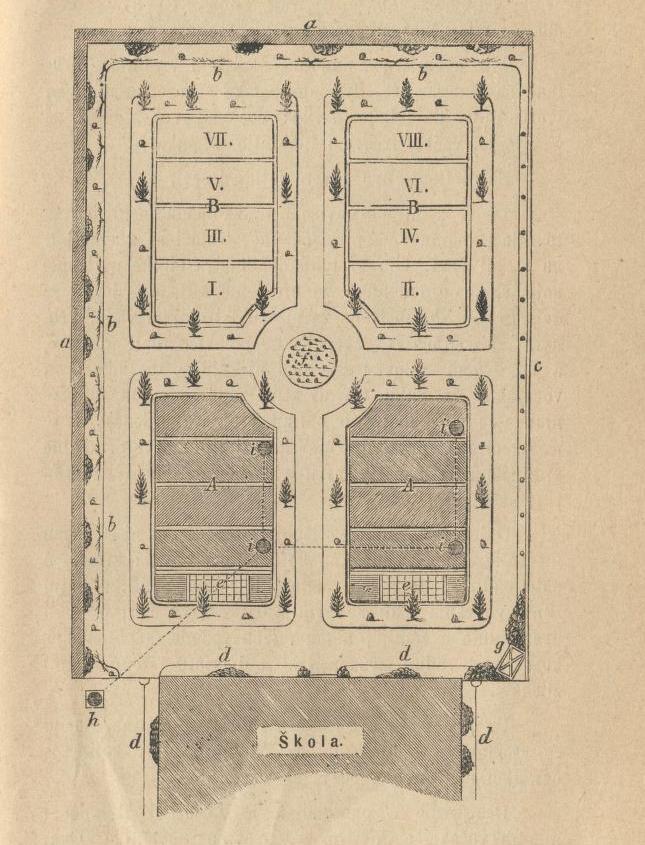 Slika 4. Nacrt školskog vrta Izvor: Trstenjak 1883. Grudiĉek-Kozjak i sur. (2005.) smatraju kako se školski okoliš moţe rasprostirati na mnogo kvadratnih metara, ali moţe biti i atrijskog tipa.