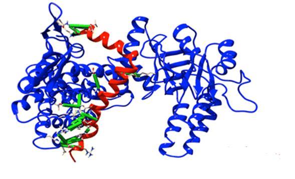 pročišćavanja izvanstaničnih vlakana Aβ-peptida, ali i apoptoze neurona uzrokovane neurotoksičnim djelovanjem proupalnih citokina. 83-85 Slika 21.
