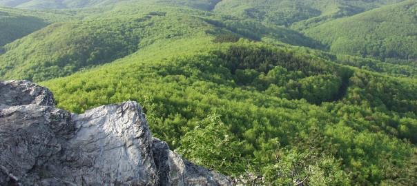 spomenik prirode Stanište tise, posebni floristički rezervat Pliš-Mališčak-Turjak-Lapjak. Područje Parka prirode predstavlja geološki najraznolikije područje u ovom dijelu Republike Hrvatske.