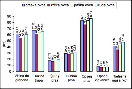 3.3. Vanjština krčke ovce Krčka ovca sitnija je i najnerazvijenija hrvatska pasmina ovaca. Navedeno potvrđuje i slika 2.