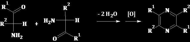 Shema 6. Prikaz reakcije kondenzacije dva ekvivalenta 2 aminokarbonilnog spoja u simetrično supstituirani pirazin. Shema 7.