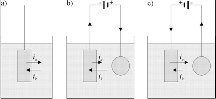 polarizacija Korozija metala: istovremeno odvijanje dve ili više elektrohemijskih reakcija Anodna: rastvaranje