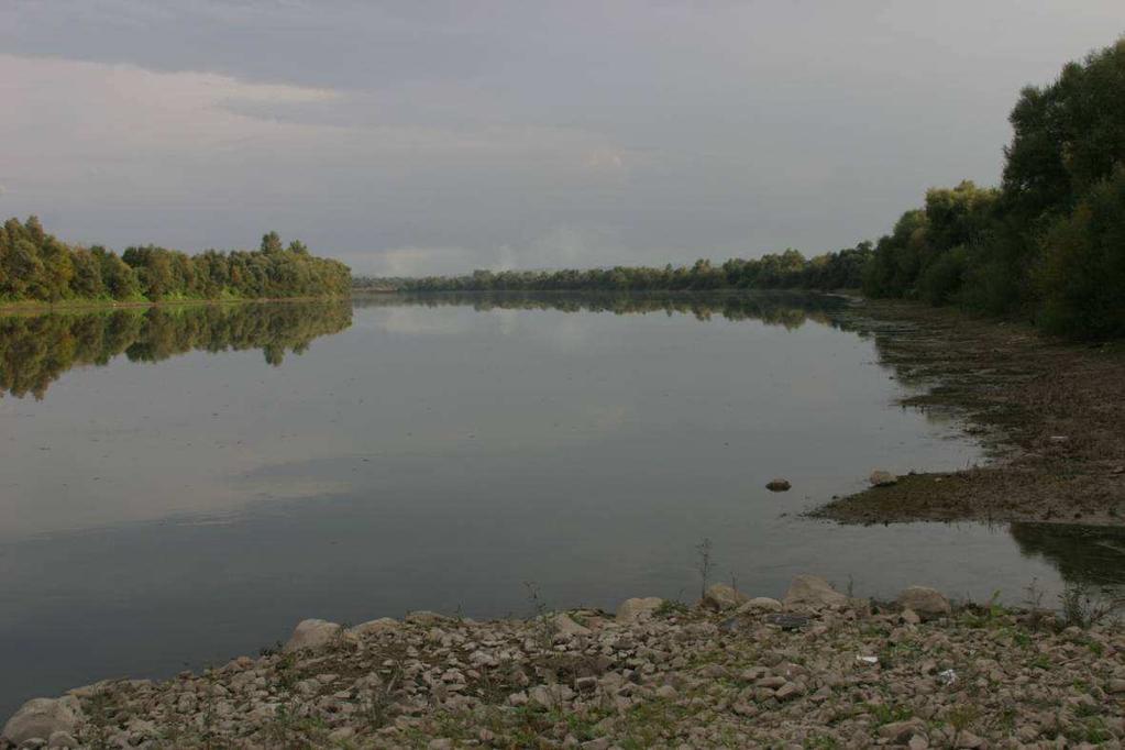 2.2.3. ISTRAŽIVANE POSTAJE NA RIJECI SAVI Postaja Slavonski Brod Ova postaja smještena je uzvodno od Slavonskog Broda, 1 km nizvodno od utoka Ukrine u Savu (slika 10).