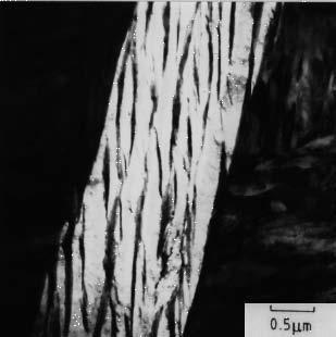 odvojene regionima ugljenikom zasićenog austenita, slika 8. Duktilni film austenita izmeďu pločica ferita ima efekat zatupljivanja prsline.