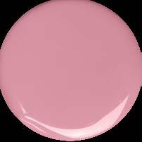 BASE GEL COMPACT COVER ROSE!