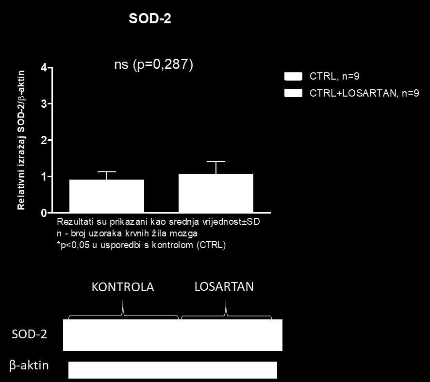 5. Rezultati Izražaj proteina superoksid dismutaze 2 (SOD-2) povišen je između ispitivanih grupa, ali statistički neznačajno (slika 8). Slika 8.