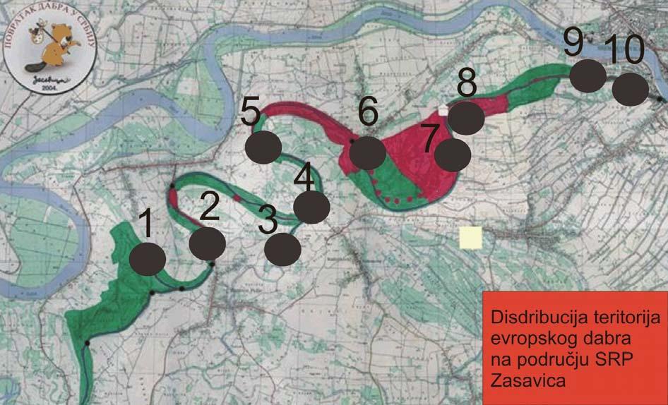 Карта 3 : Дистрибуција територија европског дабра у Војводини Карта 4 :