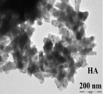 Slika 5. FTIR spektar HA i SiHA. TEM mikrografi HA i SiHA prašaka sinteriranih na 900 C pokazuju kako silicij ima negativan utjecaj na veličinu kristalita, tj.