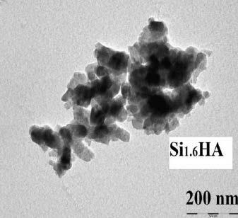 Slika 7. TEM mikrograf SiHA sinteriranog na 900 C. 5.