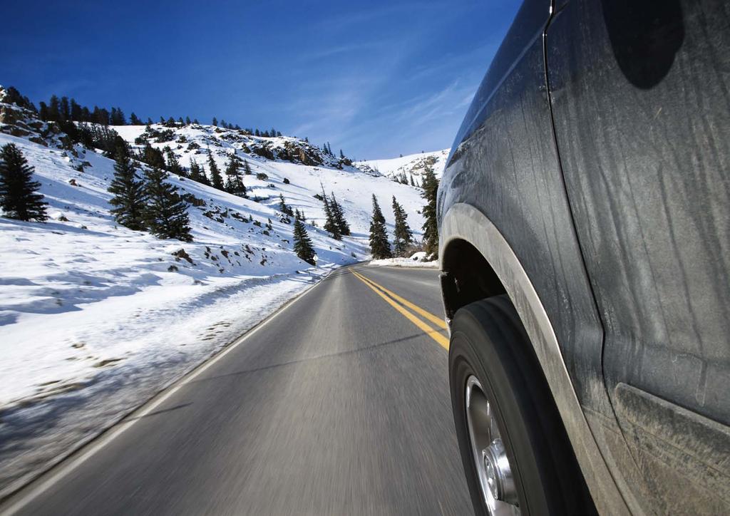 Dunlop je razvio seriju pneumatika za lake kamione da bi vašem kamionu ili kombiju omogućio najbolje moguće performanse.