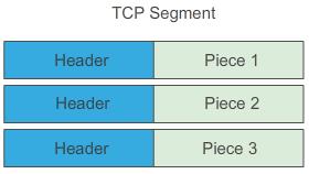 TCP / UDP TCP