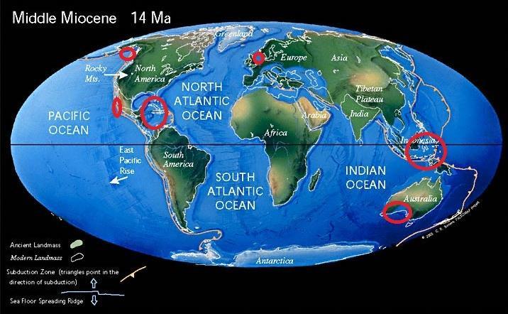 Slika 40. Zastupljenost roda Cadulus u svijetu za vrijeme miocena (paleogeografska rekonstrukcija prema www.scotese.