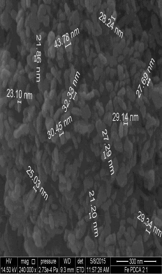 Nastale čestice su štapičastog oblika te povezane u amorfne nakupine. Čestice su u rasponu veličina od 41,30 nm do 79,10 nm, srednje vrijednosti dužine 61 nm.
