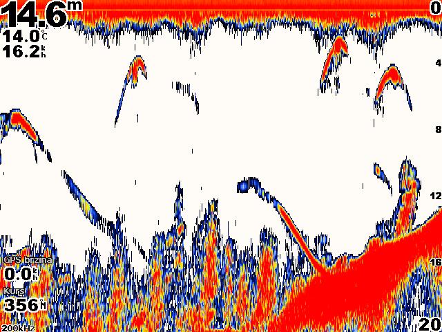 Korištenje sonara Upotreba sonara Kad je povezan s neobaveznim sonarnim modulom Garmin GSD 22, vaš uređaj za iscrtavanje postaje moćan tragač za ribom.