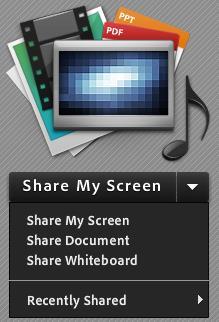 Slika 22. Mogućnosti odabira pri dijeljenju zaslona Dijeljenje zaslona omogućeno je odabirom dugmeta Share My Screen prikazanog u bloku Share.
