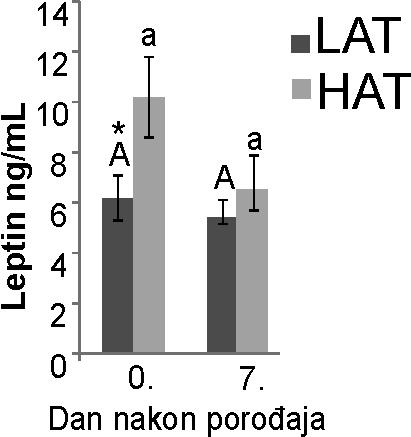 6.5.6. Leptin Na grafikonu 13, u vidu histograma prikazana je koncentracija leptina u krvi LAT i HAT teladi u ispitivanim danima postnatalnog života teladi. Grafikon 13.