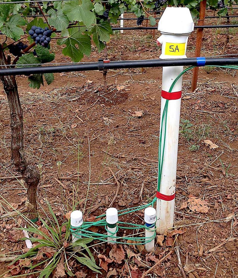 Upotreba senzora za ispitivanje stresa vinove loze Naslov orginala: Using sensors to test vineyard stress Izvor: https://www.goodfruit.com/ Objavljeno: 02.04.2019.