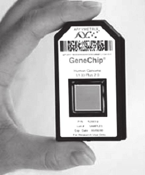 Med Vjesn 2010; 42 (3-4): 253-260 Slika 1. GeneChip Human Genome U133A 2.0 proizvođača Affymetrix Figure 1. GeneChip Human Genome U133A 2.0, made by Affymetrix SLIKA 2.