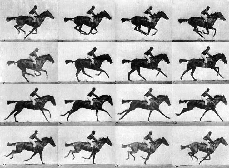 Slika 15.Sekvencijalne fotografije konjskog trka - Muybridge 1873. g. http://www.gteans.blogs.com/greenvillesky/images/muybridge_race_horse_gallop.jpg 1888.