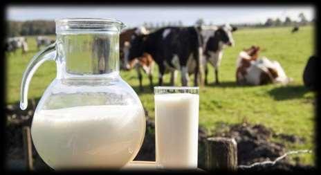 Proizvodnja (33-70%) PTA Milk (lbs; kg) Mleko (lbs; kg) PTA Protein (lbs; kg) Proteini (lbs; kg) PTA