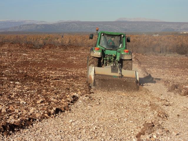 Priprema zemljišta za sjetvu smilja (Roing Ljubuški) Tlo za podizanje zasada smilja treba uzorati krajem ljeta ili najkasnije početkom jeseni, na dubinu ne manju od 30 cm.