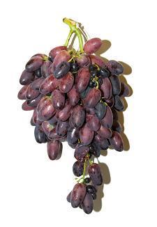 Ovaj ampelotehnički zahvat posebno je značajan i najčešće se primjenjuje kod sorti s velikim, zbijenim grozdovima, te doprinosi razvoju lijepih, rastresitih grozdova s krupnim bobicama ujednačene