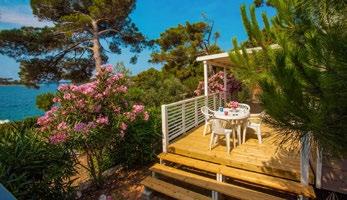 camp-bijar.com www.camps-cres-losinj.