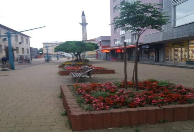 Slika 5. Cvjetne gredice u centru Bihaća Situacija 1 (Foto: B. Dorbić, 2018). Figure 5. Flower bed in the center of Bihac Situation 1 (Photo: B. Dorbić, 2018). Slika 6.