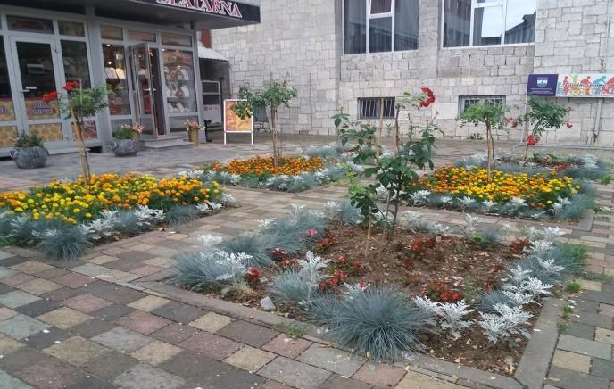 Figure 6. Flower bed in the center of Bihac Situation 2 (Photo: B. Dorbić, 2018).