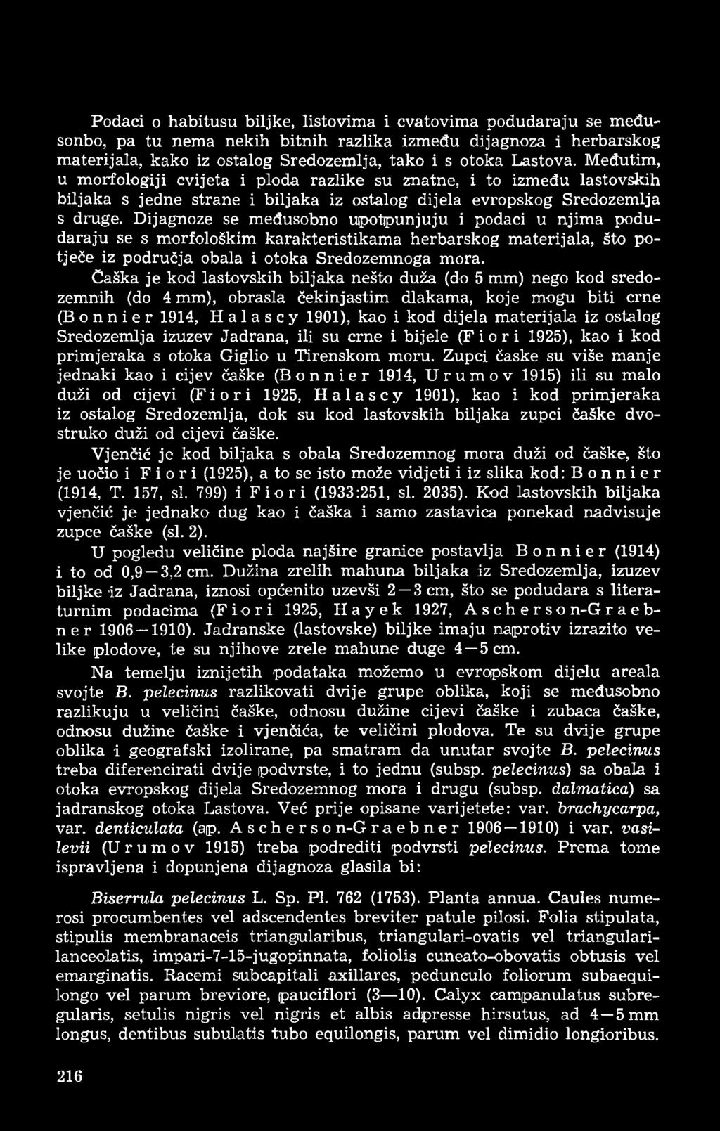 Dijagnoze se međusobno upotpunjuju i podaci u njima podudaraju se s morfološkim karakteristikama herbarskog materijala, što potječe iz područja obala i otoka Sredozemnoga mora.