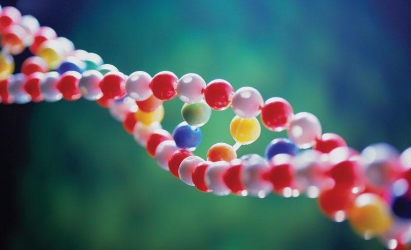 POGLAVLJE 5. DODATAK - PRIMJENA U OSNOVNOJ I SREDNJOJ ŠKOLI 57 PRILOG 3 Evolucija DNA Osnovna molekula nasljedivanja naziva se DNA. DNA je odgovorna zašto Luka ima zelene oči, a Marta smede.