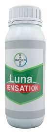 LUNA SENSATION MICROTHIOL DISPERSS AKTIVNA MATERIJA: Fluopiram 250 g/l + Trifloksistrobin 250 g/l FORMULACIJA: SC koncentrovana suspenzija AKTIVNA MATERIJA: Elementarni sumpor 800 g/kg FORMULACIJA: