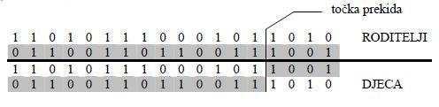 Slika 2.1. Križanje s jednom točkom prekida [9] Sljedeći operator karakterističan za genetičke algoritme je unarni operator mutacije.