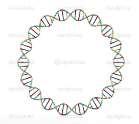 Utvrđeno je postojanje i kružnih DNA i to da neke od njih imaju