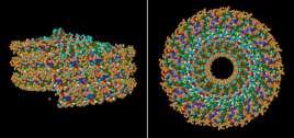 Nastajanje superspirale je posljedica biološki važnih topoloških