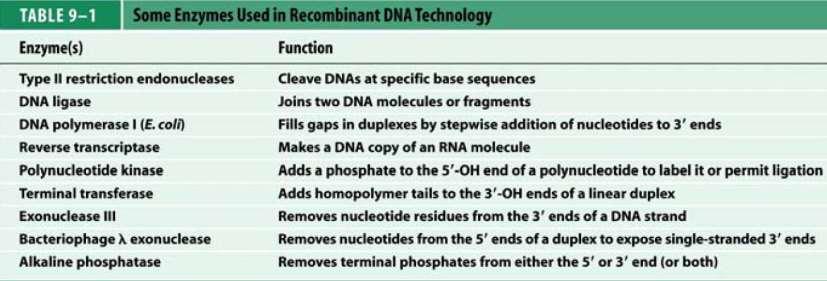 Skup enzima važnih u tehnologiji rekombinantne DNA - proizašlih