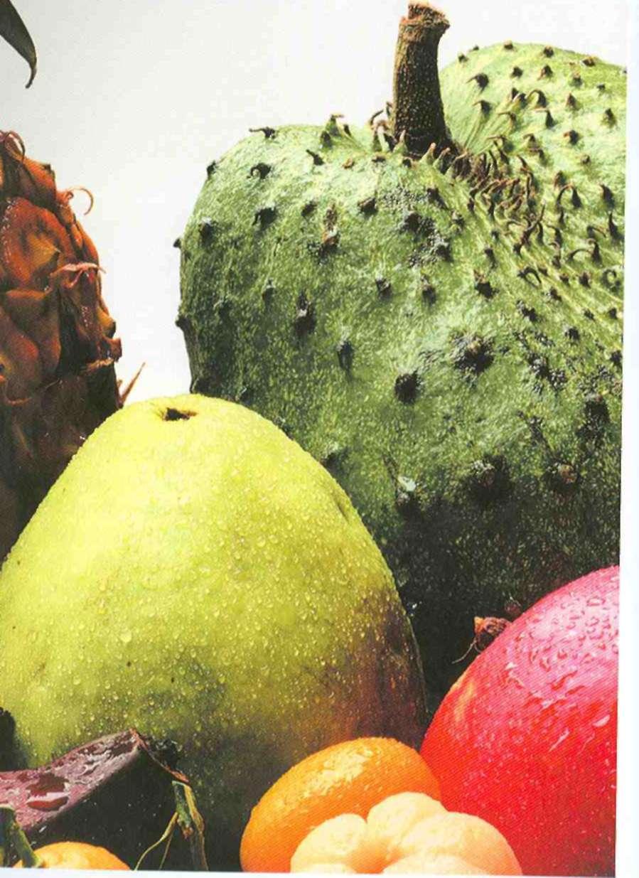 Tropski okusi Zasebno poglavlje posvetili smo sokovima od tropskog voća, iako ćete ga pronaći i u drugim receptima u knjizi.