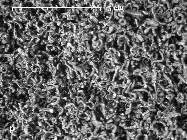 a) poveæanje 128, b) poveæanje 2580 Fig. 8 SEM micrograph of expanded graphite 315 425.