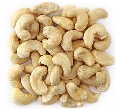 sastava orašastih plodova provedeno je na orahu (Juglans regia L.), kao najpoznatijem i najčešće korištenom orašastom plodu, po kojem je i cijela skupina plodova dobila ime.