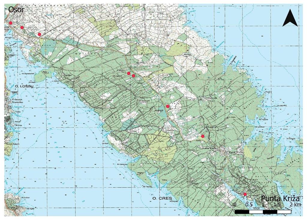 Slika 11. Položaj stupova na kojima je zabilježena elektrokucija na područjima Punta Križa u razdoblju od lipnja 2017. do listopada 2018. godine.