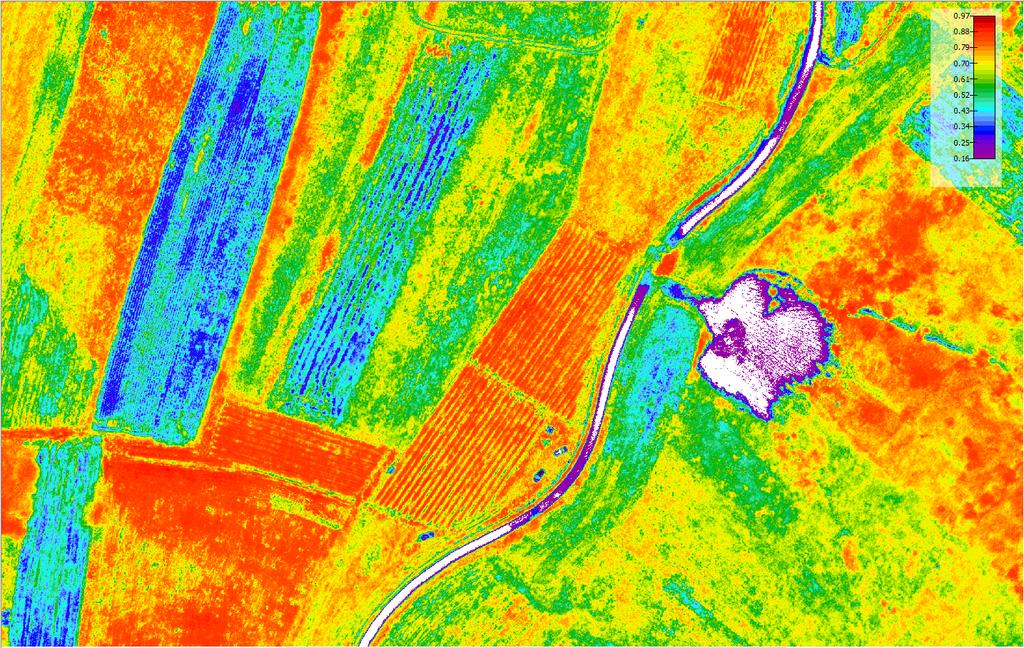 Za točnu analizu zračnih snimaka stanja usjeva i nasada uobičajeno se primjenjuje NDVI (normalizirani indeks vegetacije) za što su potrebni snimci iste površine u vidljivom (VIS) i bliskom